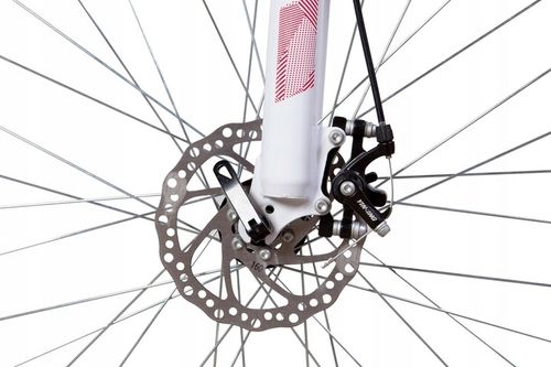 ROWER GÓRSKI MTB 29 SHIMANO RAMA 19, 21 CALI HAMULCE TARCZOWE 21 BIEGÓW na Arena.pl