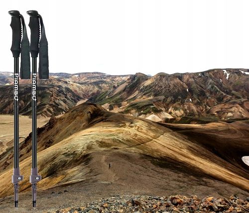 KIJKI DO NORDIC WALKING KIJE TREKKINGOWE DLA DZIECI SKŁADANE REGULOWANE x2 na Arena.pl