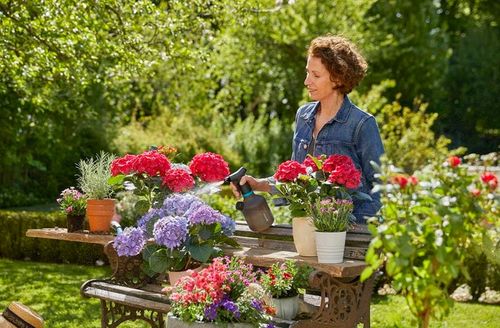 opryskiwacz ciśnieniowy 1 l - hg-11112-20 na Arena.pl