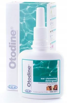 Geulincx Otodine 100ml Preparat do Uszu zdjęcie 1
