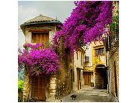 50X50CM STARE MIASTO PROWANSJI OBRAZ