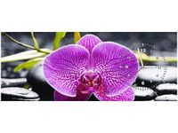 100X40CM ZEGAR ORCHIDEA OBRAZ