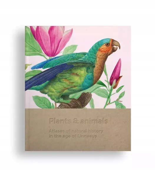 Plants and animals zdjęcie 1