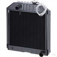 Chłodnica Wody Ford 81875325N