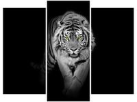 product-compare-58672074