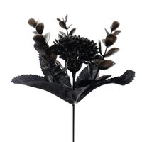 Dodatek czosnek czarny