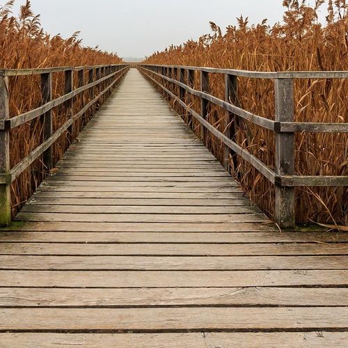 Deco Panel, Długi pomost 60x40 na Arena.pl