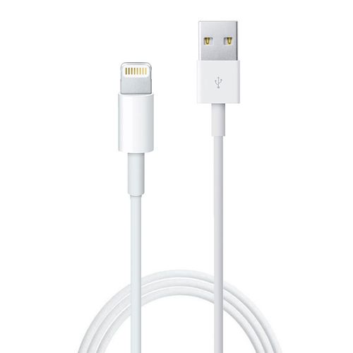 ND41_dS_52287 Kabel 1A Lightning biay 2m na Arena.pl