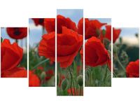 70 100CM OBRAZ 5 ELEM MAKI DUNCAN DRUK PŁÓTNO