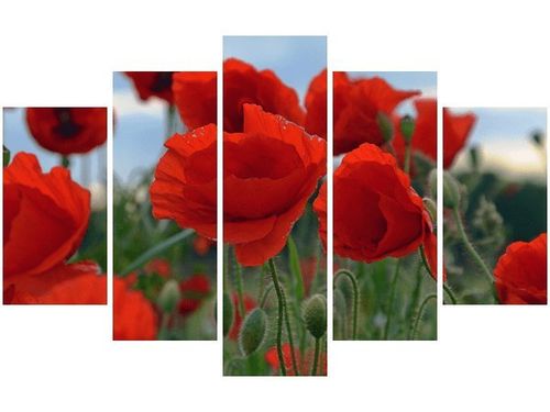 70 100CM OBRAZ 5 ELEM MAKI DUNCAN DRUK PŁÓTNO na Arena.pl