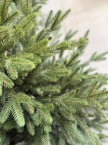 Choinka sztuczna Świerk TWIST 3D 100% PE 180 cm PREMIUM sylikonowa jak żywa na Arena.pl