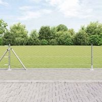 Słupek ogrodzeniowy. Srebrny 50 x 0,6 m (siatka 50 mm) Stal