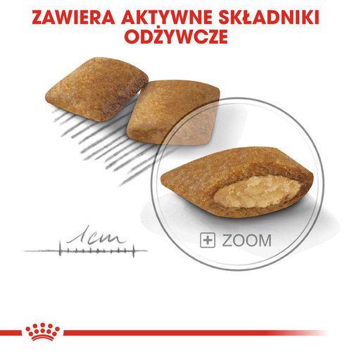 royal canin ccn mini exigent 3kg na Arena.pl