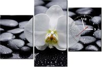 product-compare-58639645