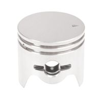 Tłok CEDRUS dmuchawa DM03 070471