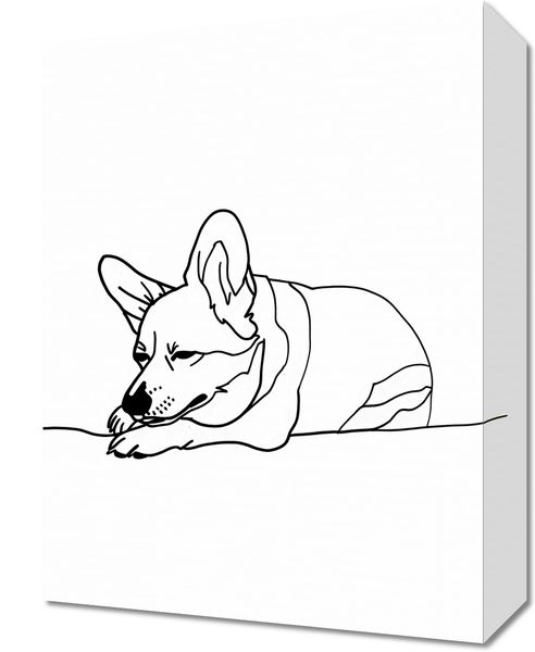 Obraz 30x40cm Śpiący Corgacz zdjęcie 1