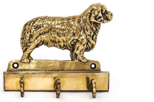 Clumber Spaniel - wieszak - 1646 na Arena.pl