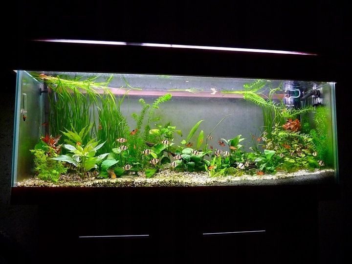 NATURALNY ŻWIREK 1-4 mm 25 kg AKWARIUM zdjęcie 5