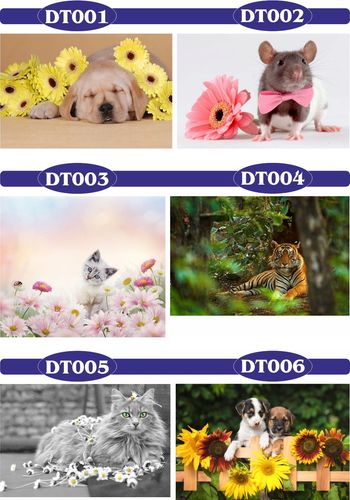 fototapety FOTOTAPETA 3d dekoracyjna koń unicorn na Arena.pl