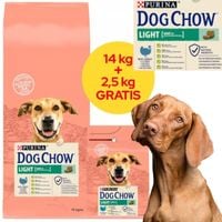 sucha karma psa purina dog chow indyk z prebiotykiem 14kg + 2,5kg gratis