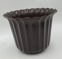 osłonka muszelka 18cm brąz