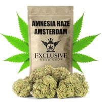 Susz konopny Amnesia Haze CBD SUPER AMSTERDAM Exclusive Weed 10g