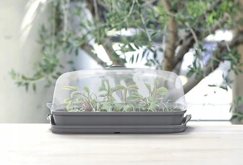 Szklarnia rozsadnik RESPANA table greenhouse 39,1 cm x 25,7 cm x 18,5 cm na Arena.pl