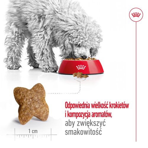 royal canin mini adult 4kg na Arena.pl