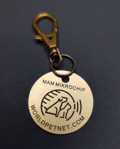 Zawieszka z kodem QR umożliwiającym szybką identyfikację psa lub kota na Arena.pl