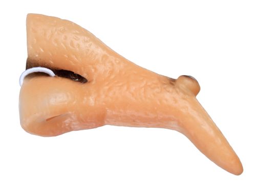 Nos Czarownicy na Arena.pl