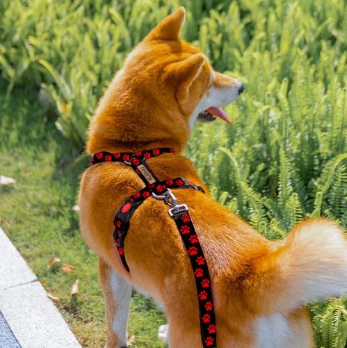 SZELKI GUARD DLA PSA REGULOWANE MOCNE BEZUCISKOWE WYGODNE PORZĄDNE roz. M na Arena.pl