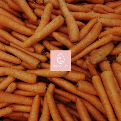 Olej Marchewkowy 100ml Wenatural naturalny samoopalacz, opalanie, na Arena.pl