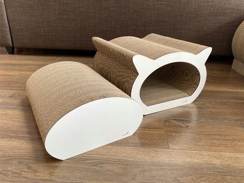 Pazur Biały na Arena.pl