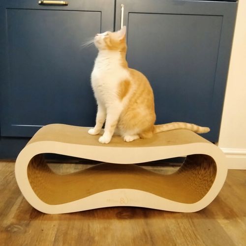 Drapak dla kota LEON | biały | 78x28x24 cm | MruuPruu na Arena.pl