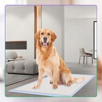 PODKŁADY MATY HIGIENICZNE DLA PSA DO NAUKI SIKANIA XL 90x60cm 50 SZT