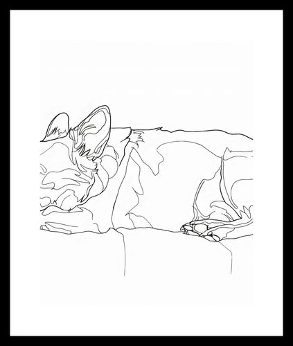 Plakat 40x50cm Śpiący Psiak na Arena.pl