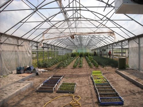 WDB PLAST Plandeka 100 g/m2 4 x 5m na Arena.pl
