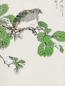 Plakat 60x80cm Barbary Dove, Kashu Japoński Vintage