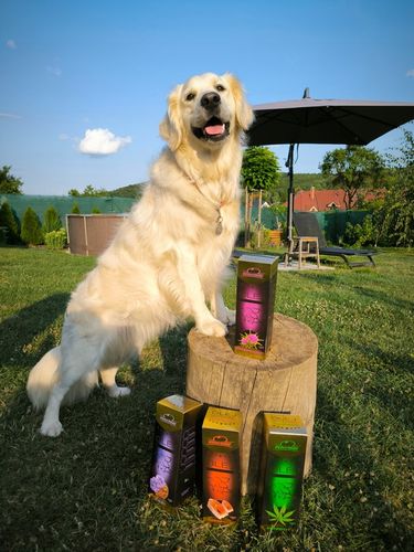 VITAR Veterinae Olej Lniany 1000 ml - lśniąca sierść, doskonałe źródło na Arena.pl