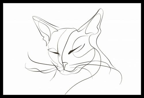 Plakat 45x30cm Linijny Kot na Arena.pl