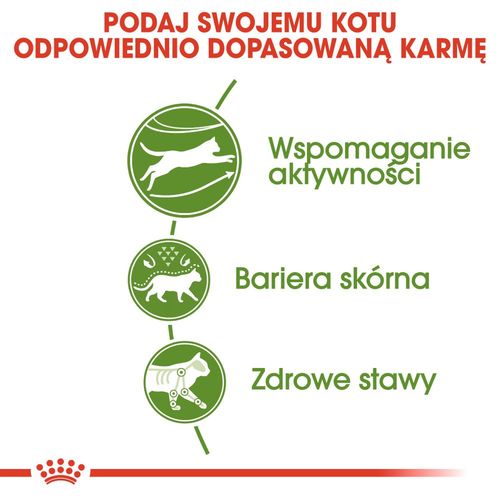 royal canin outdoor 400g na Arena.pl