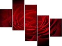 100 75CM OBRAZ 5 ELEM RÓŻA UKOCHANEJ ŚCIENNY