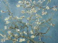 Plakat 100x75cm Almond Blossom, Van Gogh Vintage do Salonu