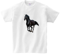 Koszulka T-shirt Konie