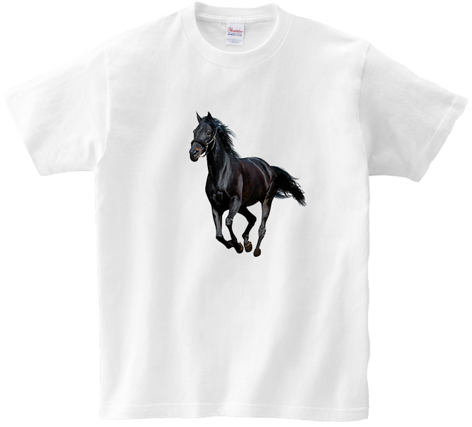 Koszulka T-shirt Konie zdjęcie 1