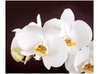 60X50CM PIĘKNY STORCZYK OBRAZ ŚCIAN DREWNIANE