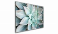 OBRAZ NA SZKLE PROSTOKĄTNY 100x70cm 098 Sukulent
