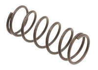 Sprężyna Cedrus odchwaszczarka SC01 500175