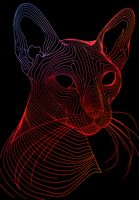 Plakat 68x98cm Cyfrowa Kocica