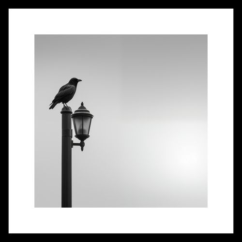 Plakat 30x30cm Samotny Postój Kruka na Arena.pl